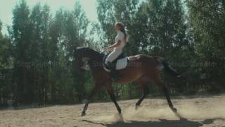 Female rider in a white suit sitting in the saddle of the horse [upl. by Anawk]