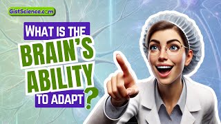 What is the Brains Ability to Adapt [upl. by Gnauq]