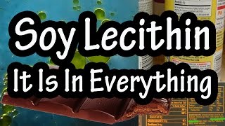 What is Soy Lecithin How Is Soy Lecithin Made [upl. by Jarrell27]