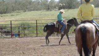 Buck Brannaman Clinic New River AZ April 10 2010 [upl. by Wisnicki793]