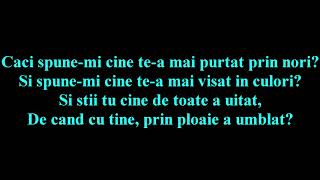 Pasărea Colibri  Adio deci pe curand Versuri [upl. by Izy]