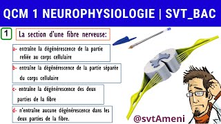 SVT Bac Neurophysiologie Expériences de section dun nerf rachidien  QCM 1 [upl. by Wendel123]