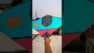 Kite looting by pipe 😱।। shorts loot kitelooting kite patang patangwala kitefestival [upl. by Haerb]