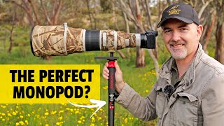 Monopod for WILDLIFE Photography iFootage Cobra 2 C180 II Field Review [upl. by Syck]