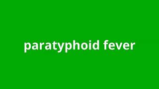 what is the meaning of paratyphoid fever [upl. by Enytsirk]