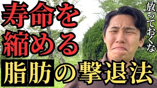 【生活習慣病】ポッコリお腹の原因 内臓脂肪の落とし方 [upl. by Philippine]