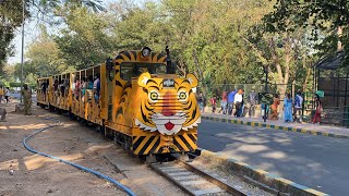 Hyderabad Zoo Park 2024  Nehru Zoological Park  Zoo Park in Hyderabad  Bahadurpura  Telangana [upl. by Itsur]