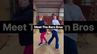 Barn Bros Vs Barn Managers Kid shorts animals [upl. by Ecerahc112]