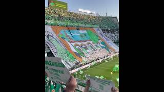 Betis vs Sevilla 11 Amazing ACAPELLA Anthem of Betis Splendid atmosphere in Derby of Andalusia [upl. by Teplitz]