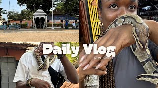 TEMPLE OF PYTHON OUIDAH BENIN REPUBLIC [upl. by Dranyl]