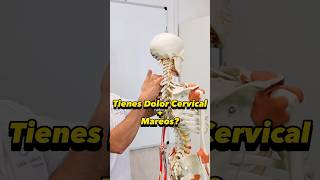 ✅ Ejercicio para Fortalecer las Cervicales dolorcervical [upl. by Schuman717]