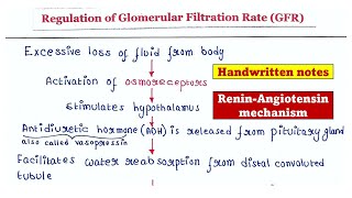 Regulation of glomerular filtration rate GFR [upl. by Ahsram]