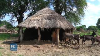 Cyclone Dineo induced floods hit Zimbabwe [upl. by Longerich221]