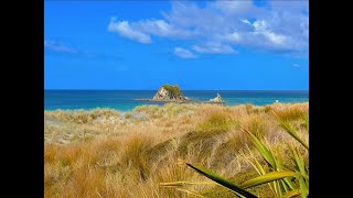 Road Trip New ZealandWarkworth to Mangawhai Northland [upl. by Assedo52]