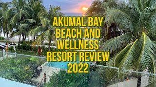 Tour Of Akumal Bay Beach amp Wellness Resort 2020 [upl. by Teyut]