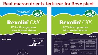 Rexolin CXK best micronutrients fertilizer for Rose plant gardening rose terracegarden [upl. by Konstantine161]