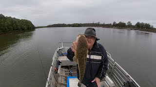 Caboolture River Fishing 9th September 2022 [upl. by Coh]