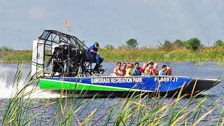 Florida Everglades Airboat Adventure and Wildlife Encounter [upl. by Adiene291]