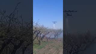 Meyve Bahçelerinde drone ile ilaçlama [upl. by Alyahsal]