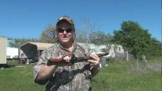 Shooting the Rossi Ranch hand mares leg 357 [upl. by Eirellam861]