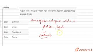 In a stem which is covered by periderm and in which stomata are ab [upl. by Alphard]