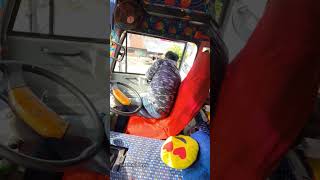 dkfholidays convinsingstar comedy automobile shrts bus travel kollam mevaram [upl. by Eicyak]