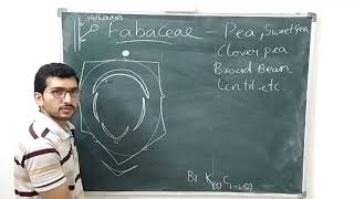 Fabaceae  Foral Diagram and Floral formula [upl. by Stearns]