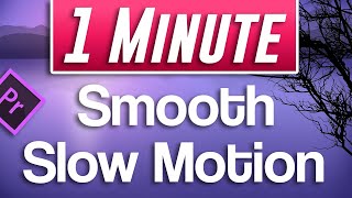 Premiere Pro  Smooth Slow Motion Tutorial With 30fps footage [upl. by Rosane879]