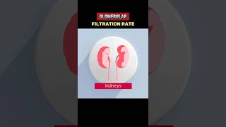 GLOMERULAR FILTRATION RATE gfrglomerularfiltrationrate EXPLAIN GFRGLOMERULAR FILTRATION RATE [upl. by Saffren]