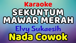 SEKUNTUM MAWAR MERAH Karaoke Nada Cowok Elvy Sukaesih [upl. by Htebasyle]