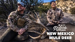 New Mexico Mule Deer Hunt [upl. by Sixla729]