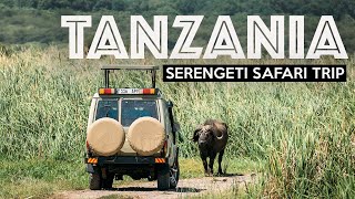 TANZANIA SAFARI  Exploring The Serengeti [upl. by Nette722]