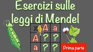 Esercizi di genetica  leggi di Mendel e quadrato di Punnett 1 [upl. by Jonis]