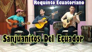 Mix Musica Ecuatoriana  Sanjuanitos De Oro  Hermanos Chamba [upl. by Neom640]