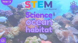 Ocean Habitats  Science For Kids Year 2  STEM Home Learning [upl. by Mistrot]