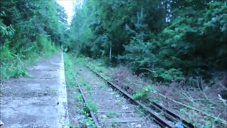 Abandoned Watford and Rickmansworth Railway Exploration [upl. by Marvel]