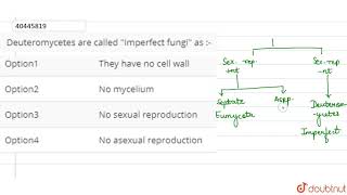 Deuteromycetes are called \quotImperfect fungi\quot as [upl. by Norvall478]