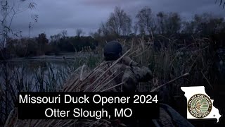 Missouri Duck Opener 2024  Otter Slough Dudley MO [upl. by Yaj533]