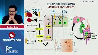 NEONATOLOGÍA  ICTERICIA NEONATAL  2024 QX MEDIC [upl. by Sisson189]