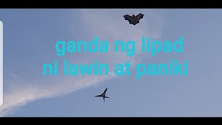 Saranggola na Lawin gawa ko kakatuwa tingnan sa taas ng lipad [upl. by Danete505]