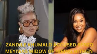 Zandile Khumalo Accused Mandisa Mkhize of Hiring Hitmen and paying for defence lawyers [upl. by Mozelle]