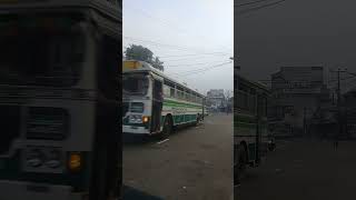 leylandbus Embilipitiya 210 Ratnapura Bus View in Kudugalwatte 20241018 062248 travel [upl. by Icart]