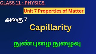 11th Physics TN 1 Capillarity  நுண்புழை நுழைவு [upl. by Clara103]