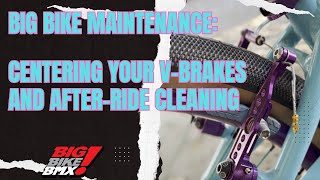 Maintaining your big bmx bike between rides  adjusting v brakes [upl. by Nedmac212]