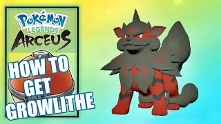 Pokemon Legends Arceus  Where to Find Growlithe Location and Evolution [upl. by Tabby32]