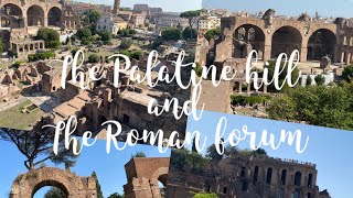 THE PALATINE HILL and the ROMAN FORUM travel rome historical italy archeology [upl. by Antonina]