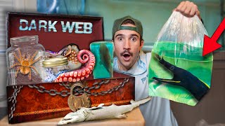 Ordering HAUNTED Live Fish Off The DARK WEB [upl. by Cheri862]