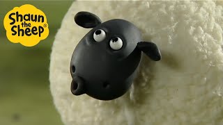 Shaun the Sheep 🐑 EPIC SHEEP  Cartoons for Kids 🐑 Full Episodes 🐑 Full Season 1 [upl. by Auqemahs]