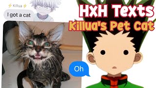 HxH Texts  Killuas Pet Cat [upl. by Arraic613]