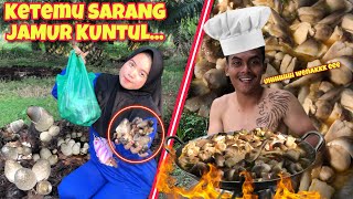 MENEMUKAN SARANG JAMUR KUNTUL DI KEBUN SAWIT LANGSUNG KAMI OLAH‼️ [upl. by Eidurt263]